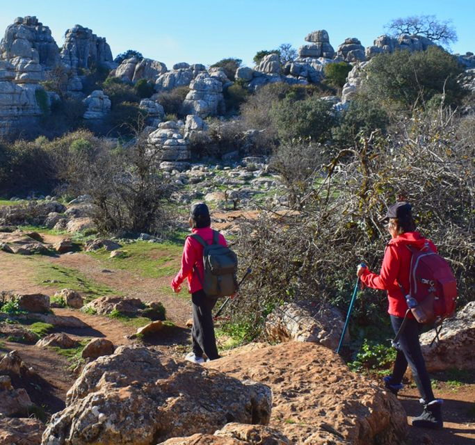 Hiking in El Torcal De Antequera (From Granada) - Trip Details and Pricing