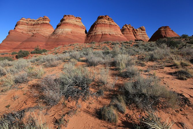 Hiking in Kanab: Famous Teepees of Vermilion Cliffs National Monument Near Wave - Group Size and Meeting Point