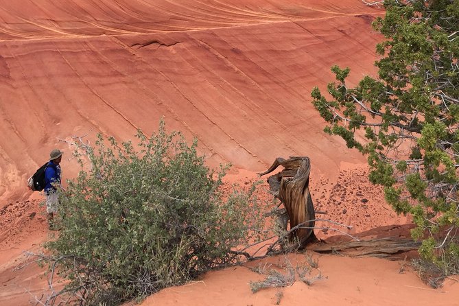 Hiking in Kanab: Famous Teepees of Vermilion Cliffs National Monument Near Wave - Inclusions and Meeting Details