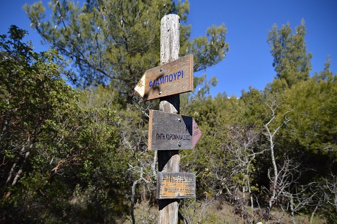 Hiking in Parnitha National Park From Athens - Overview of Parnitha National Park