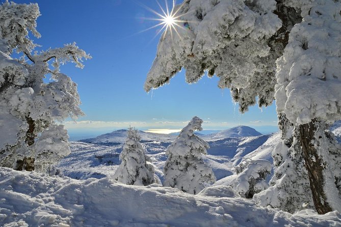Hiking in Parnitha National Park From Athens - Choosing the Right Trail for Your Fitness Level