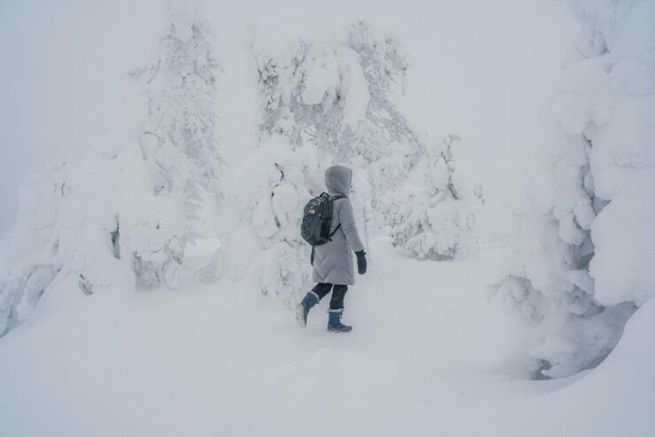 Hiking in Riisitunturi National Park With Photographer - Booking Details for the Hiking Experience