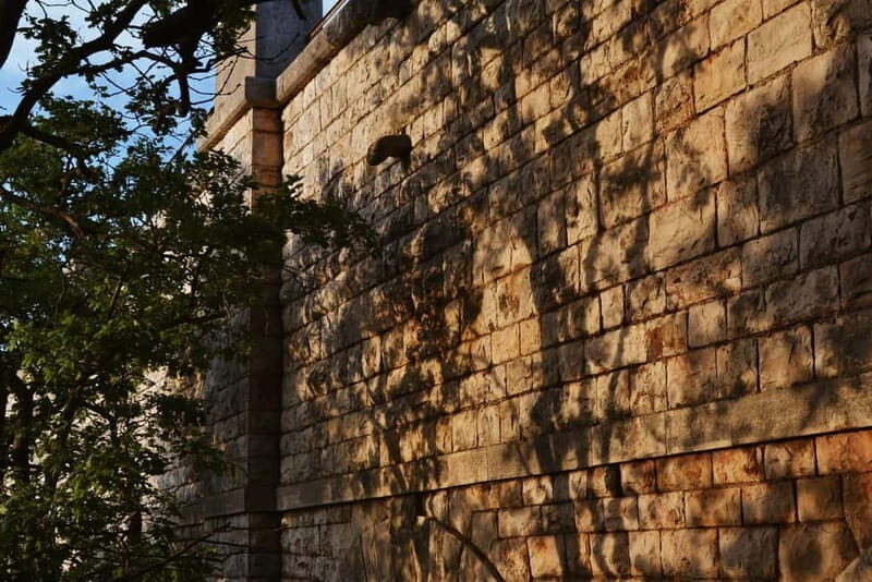 Hiking in the Alta Murgia National Park: the forest and the ancient farmhouse - Good To Know