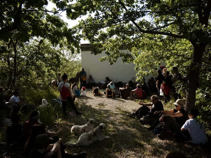 Hiking in the Alta Murgia National Park: the forest and the ancient farmhouse - An In-Depth Look at the Tour
