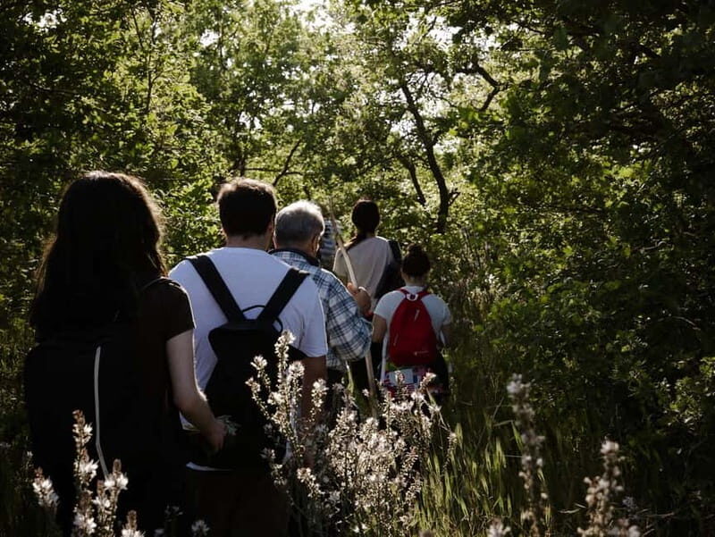 Hiking in the Alta Murgia National Park: the forest and the ancient farmhouse - Exploring Rural Architecture and Dry Stone Walls