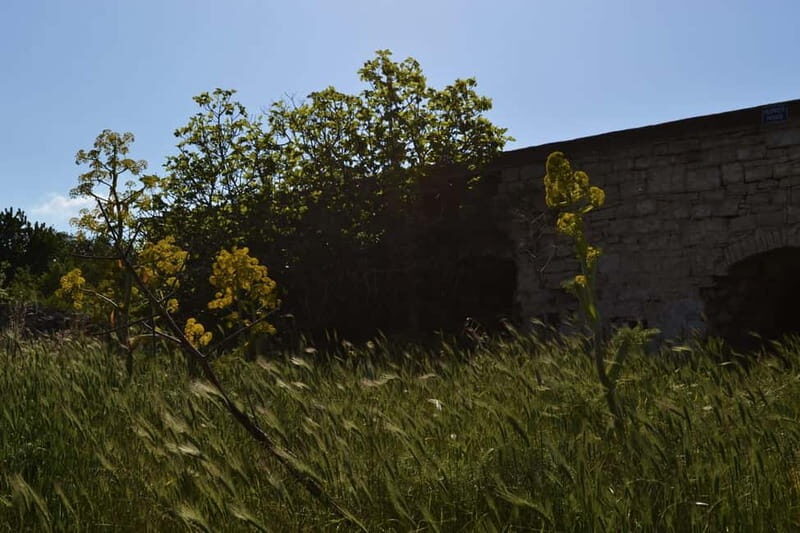 Hiking in the Alta Murgia National Park: the forest and the ancient farmhouse - The Legend of the "Devil’s Jazzo"