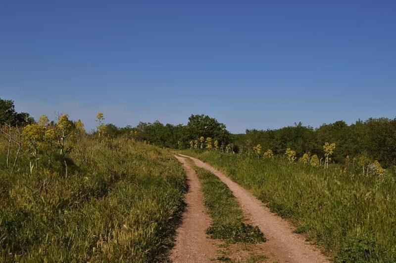 Hiking in the Alta Murgia National Park: the forest and the ancient farmhouse - Who Should Consider This Tour?