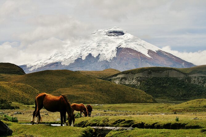 Hiking in the Andes – the Avenue of Volcanoes 6 Days - Packing Essentials