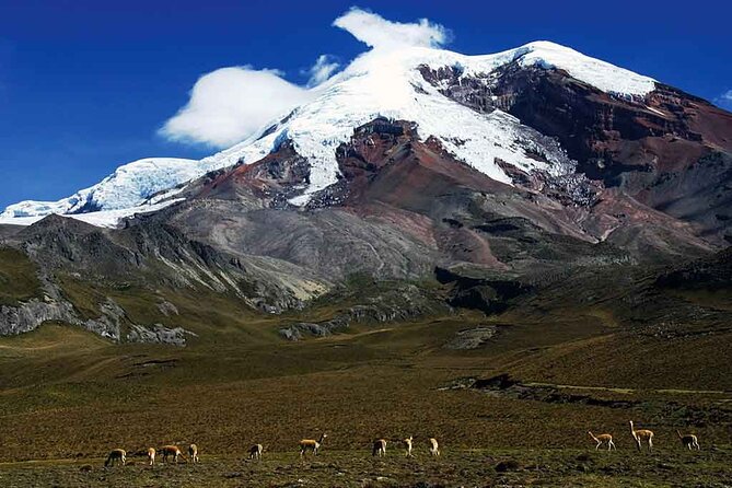 Hiking in the Andes – the Avenue of Volcanoes 6 Days - Frequently Asked Questions