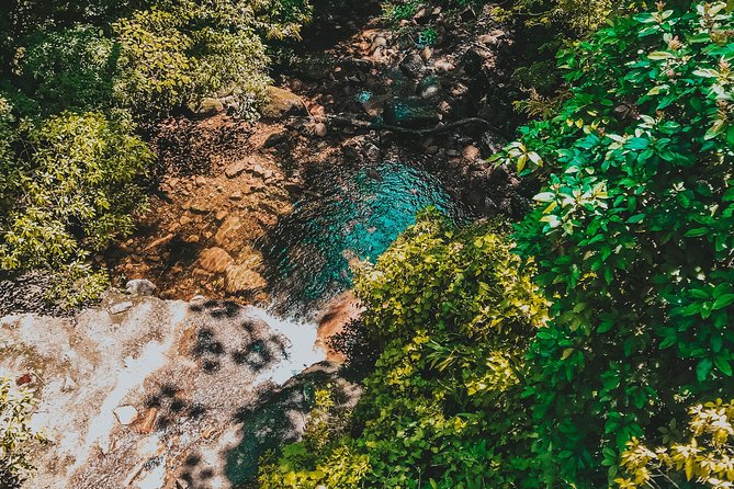 Hiking in the Black River Gorges National Parc - Native Forest - Notable