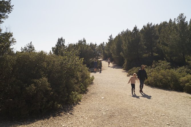 Hiking in the Calanques National Park From Luminy - Additional Information