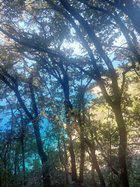 Hiking in the Cinque Terre From Levanto to Monterosso - Good To Know