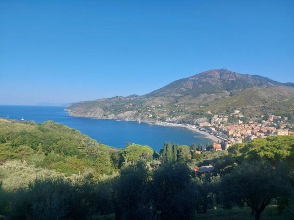 Hiking in the Cinque Terre From Levanto to Monterosso - Booking Information