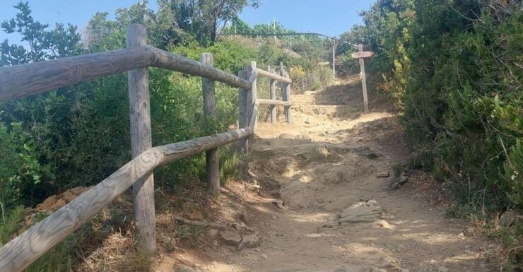 Hiking in the Cinque Terre From Riomaggiore to Manarola - Scenic Coastal Trail Overview