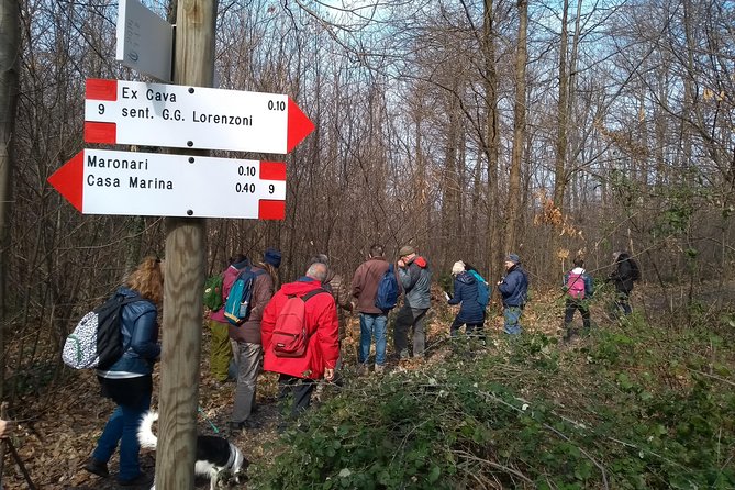 Hiking in the Euganean Hills - Overview of Euganean Hills