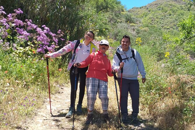 Hiking in the Green Gran Canaria - Sustainable Practices in Outdoor Activities
