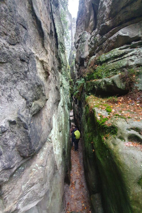 Hiking in the Land Born From the Sea - Pricing and Reservation