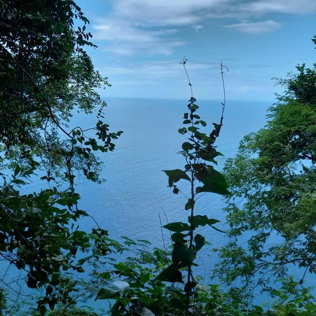 Hiking in the Rainforest, Waterfall, Black Sand Beach - Good To Know