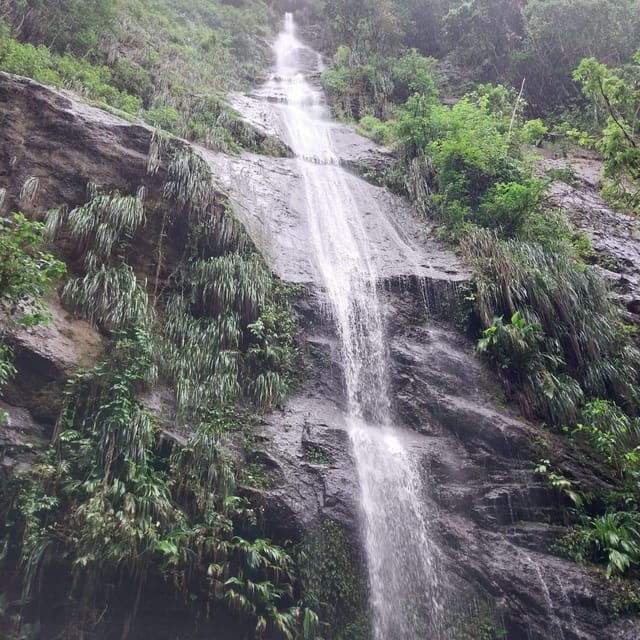 Hiking in the Rainforest, Waterfall, Black Sand Beach - Itinerary Details