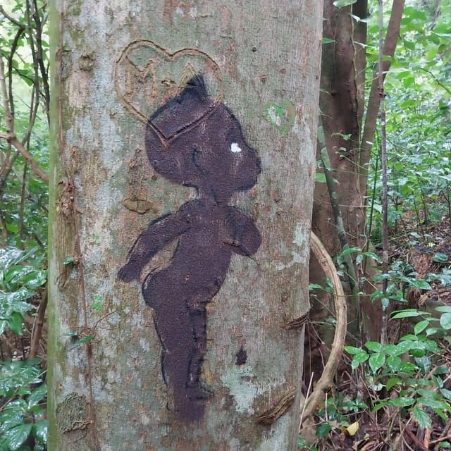 Hiking in the Rainforest, Waterfall, Black Sand Beach - Experience Highlights