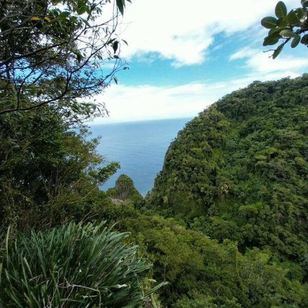 Hiking in the Rainforest, Waterfall, Black Sand Beach - Transportation