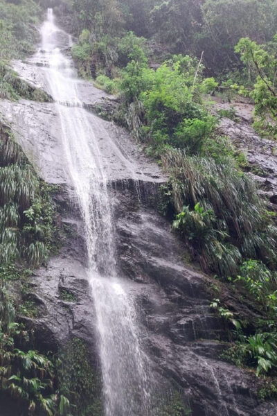 Hiking in the Rainforest, Waterfall, Black Sand Beach - Wildlife Encounters