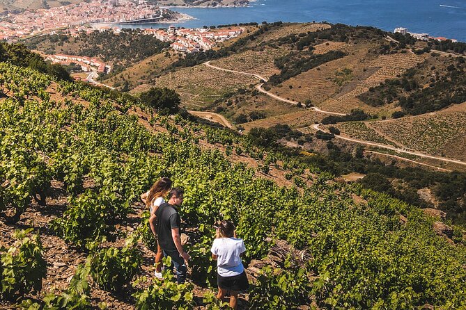 Hiking in the Vineyard in Banyuls-sur-Mer - Common Questions