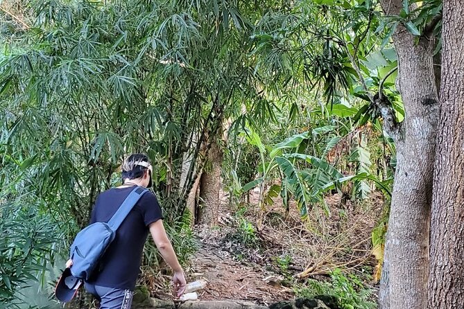 Hiking in Tropical Forest of Son Tra - 3hours Version - Experience Duration: 3 Hours