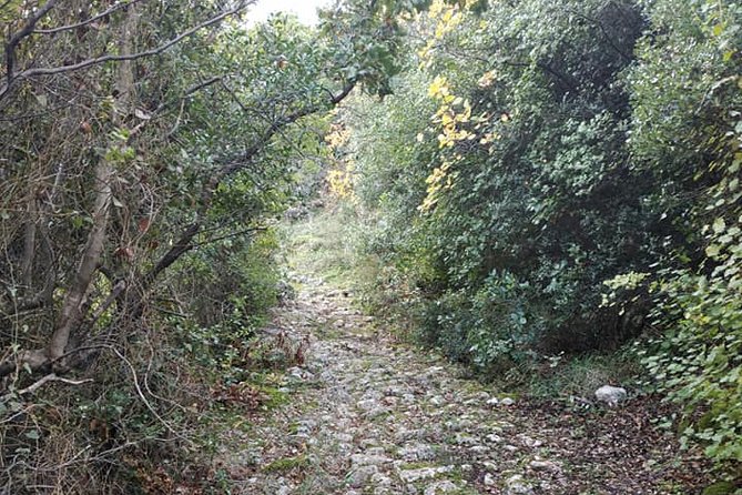 Hiking in Tyros Arcadia - Best Trails for All Skill Levels