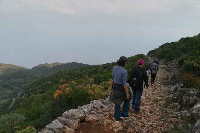 Hiking in Tyros Arcadia - Wildlife Spotting on Tyros Arcadia Trails