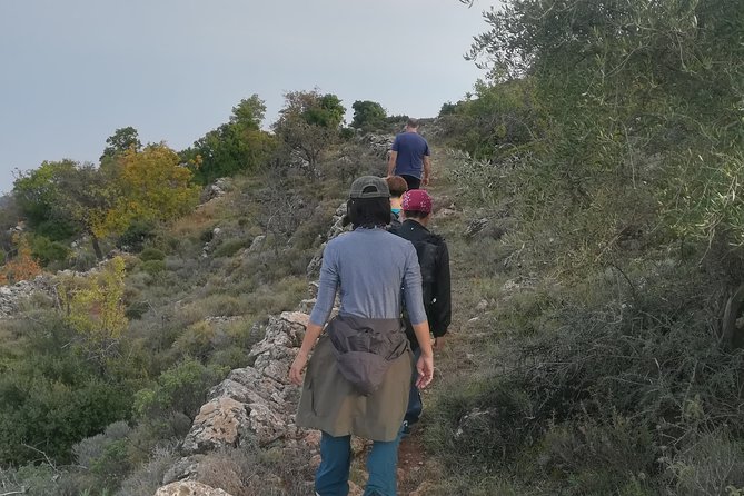 Hiking in Tyros Arcadia - Tips for Hiking Safety in Tyros Arcadia