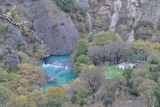 Hiking in Vikos Gorge - Wildlife and Flora