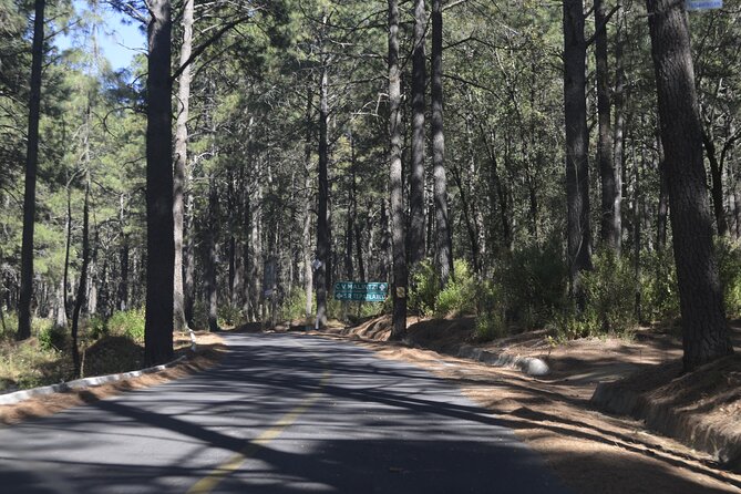Hiking La Malinche Experience (Private Tour) - Private Guide Included