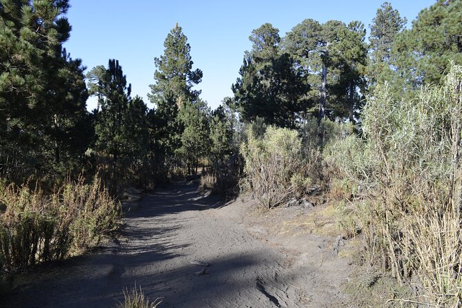 Hiking La Malinche Experience (Private Tour) - Cancellation Policy