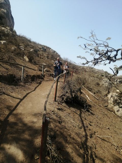 Hiking Lomas De Lachay in Lima - Activity Details