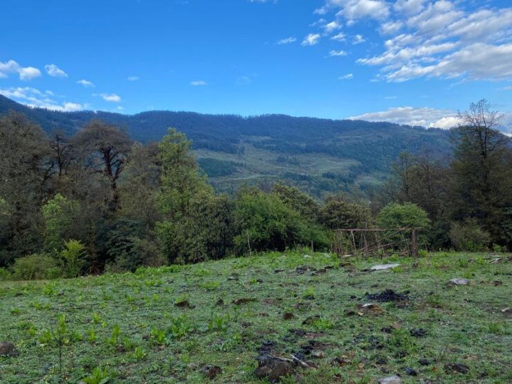 Hiking, Meditation, Camping and Enjoying Local Food - Hiking in the Himalayas