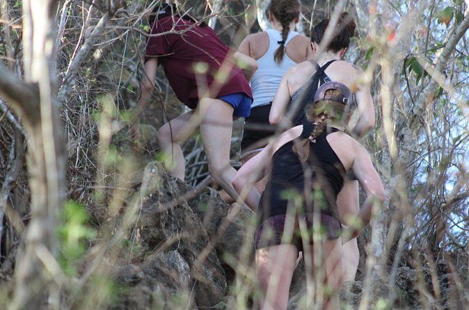 Hiking Monkey Mountain - The Trail Options and What They Mean for You