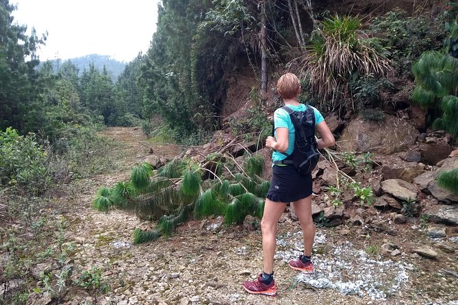 Hiking Mountains and Magical Forests - Trail Options for Hiking Adventures