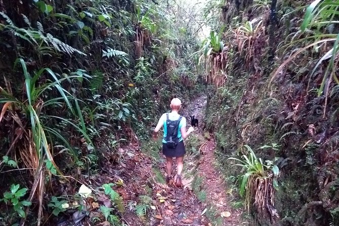 Hiking Mountains and Magical Forests - Packing Essentials for Outdoor Exploration