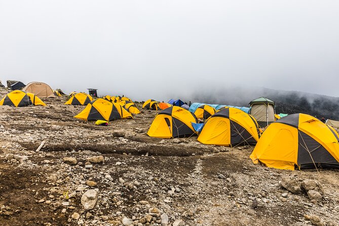 Hiking Mt Kilimanjaro 7 Days Scenic Route & Moderate Challenge - Meeting and Pickup Information