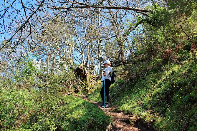 Hiking - Nature and Schist Villages of Lousã - What to Expect