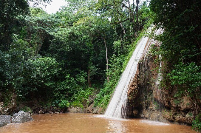 Hiking Private Tour to Tabernacle Thundering Waterfall - Why This Tour Is a Great Choice