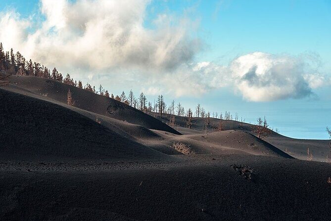 Hiking Route Visit to the New Volcano of La Palma - Final Thoughts: Is This Tour for You?