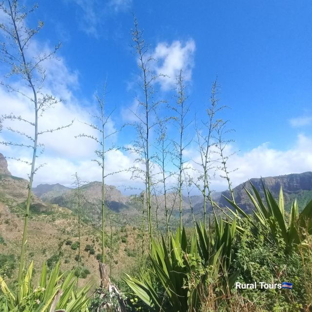 Hiking Serra Malagueta Natural Park - Good To Know