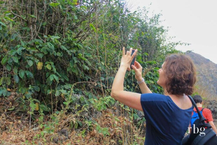 Hiking Serra Malagueta&Mato Correia+Visit Rabelados Village - Highlights