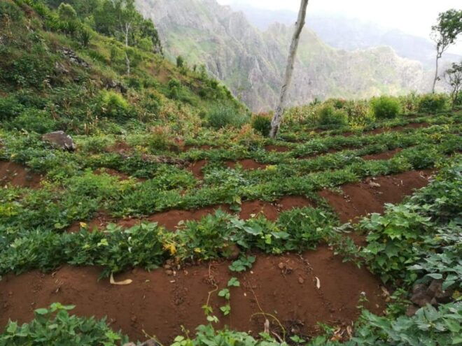 Hiking Serra Malagueta&Mato Correia+Visit Rabelados Village - Booking Information