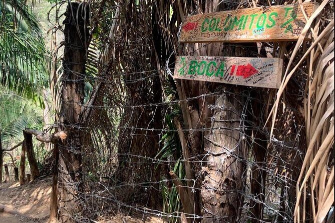 Hiking & Snorkeling to Mexico's Smallest Paradise Colomitos Beach - Authenticity and Tips from Reviewers