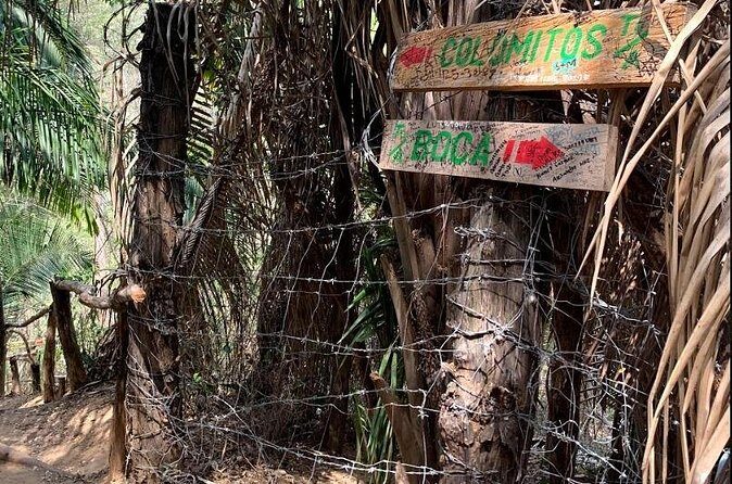 Hiking & Snorkeling to Mexico's Smallest Paradise Colomitos Beach - The Sum Up
