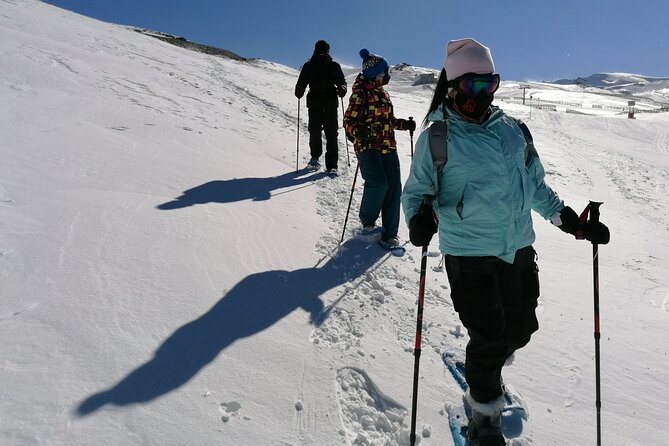 Hiking Snowshoeing in the Sierra Nevada Park, Granada - Transportation and Meeting Details