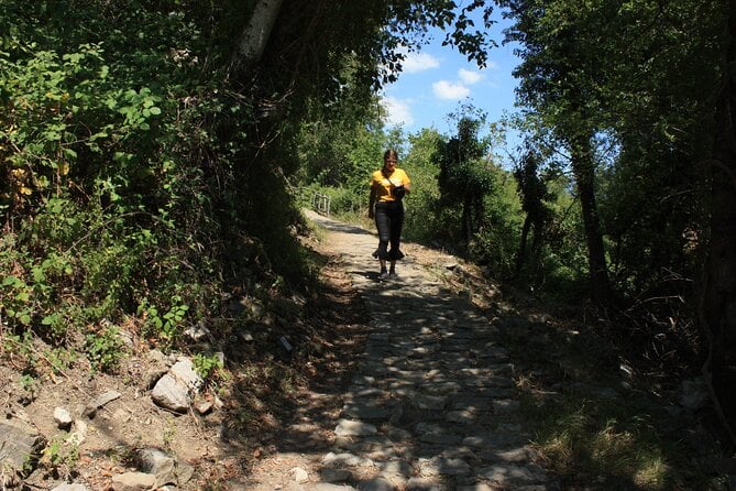 Hiking, Swimming and Sightseeing Tour in Central Zagori Area - Cancellation Policy